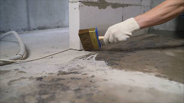 24/7 Emergency Wet Basement Repair experts in Jonesville, MI